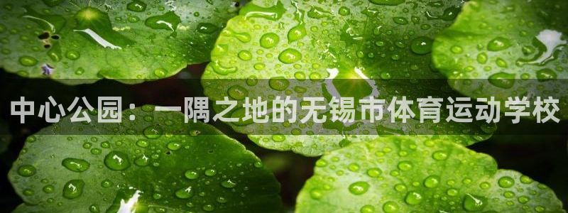 速播体育直播