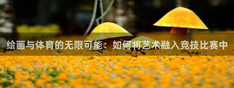 速播体育直播