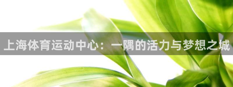 速播体育：上海体育运动中心：一隅的活力与梦想之城